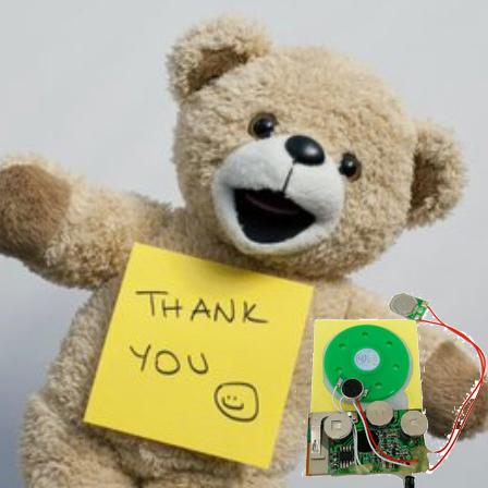 Módulo registrable musical de los sonidos para el certificado del CE del OEM de la tarjeta de felicitación de DIY 6